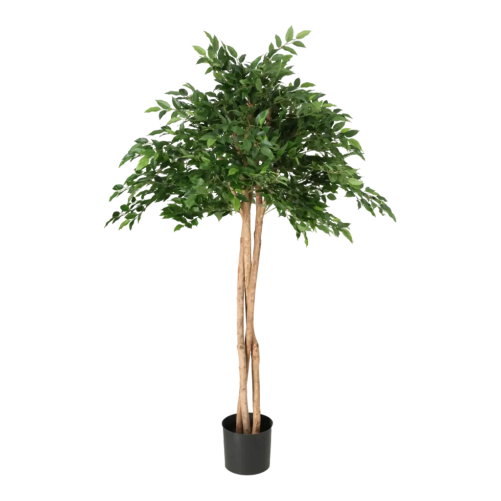 Kunstig Mini Ficus Natasja Paraply H: 135 cm.