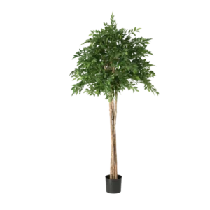 Kunstig Ficus Natasja Paraply H: 165 cm.