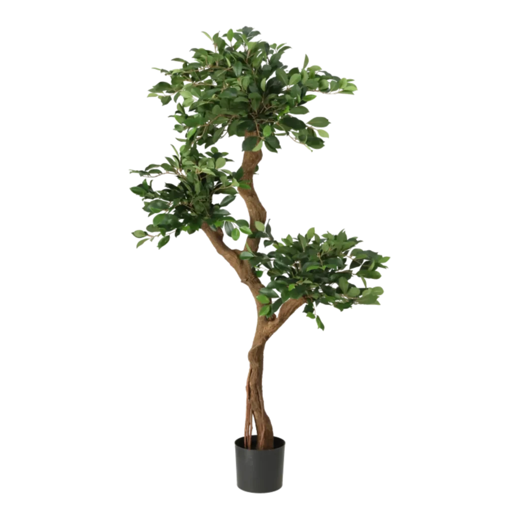 Kunstig Ficus Retusa H: 160 cm.