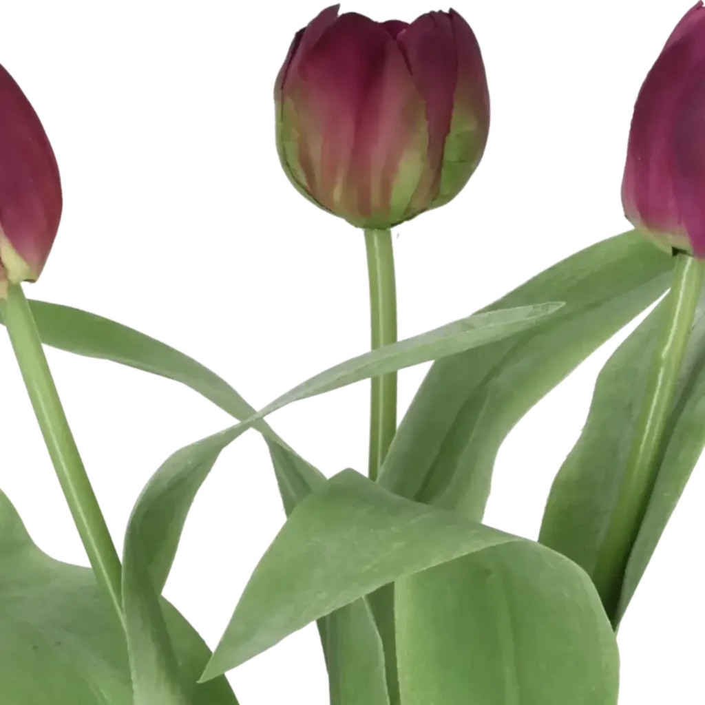 Closeup af Kunstig tulipan mørklilla mix L: 36 cm.