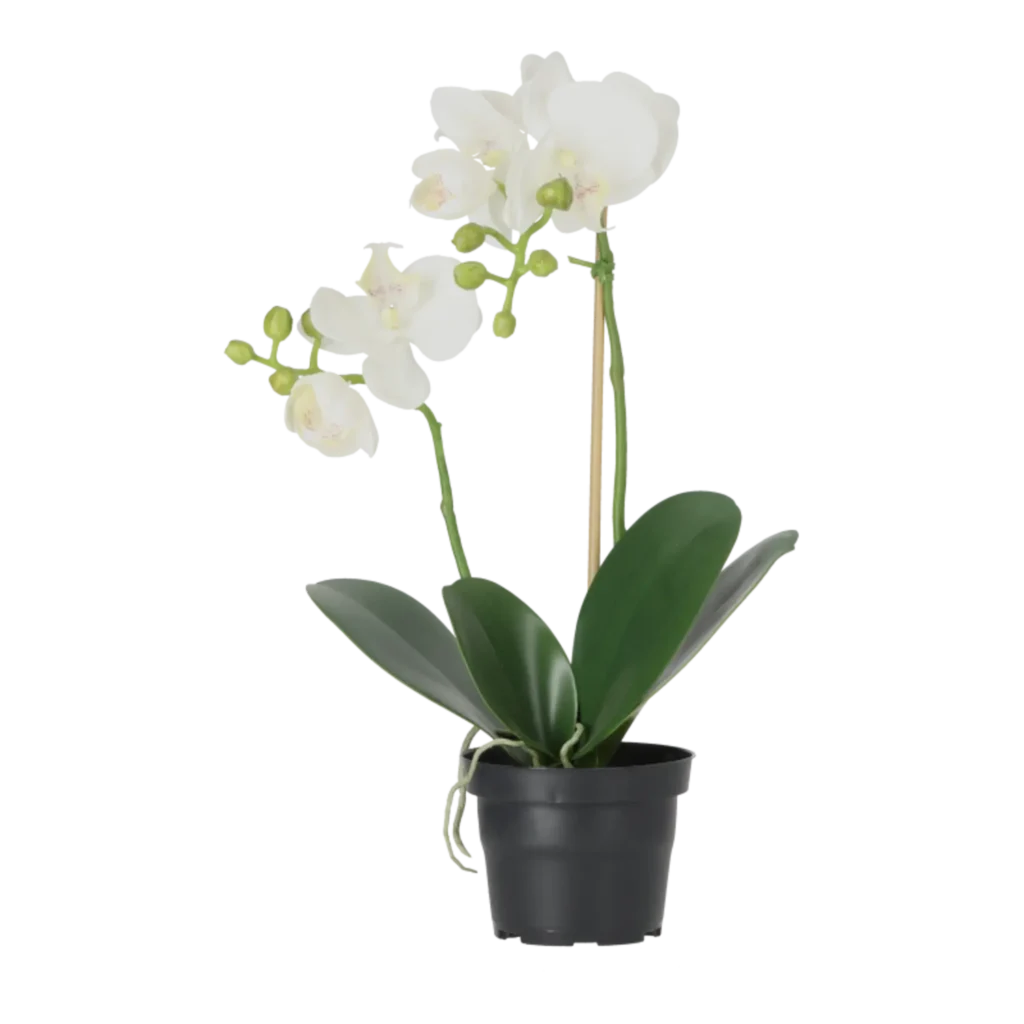 Kunstig Phalaenopsis Orkidé H: 45 cm.