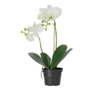 Kunstig Phalaenopsis Orkidé H: 45 cm.