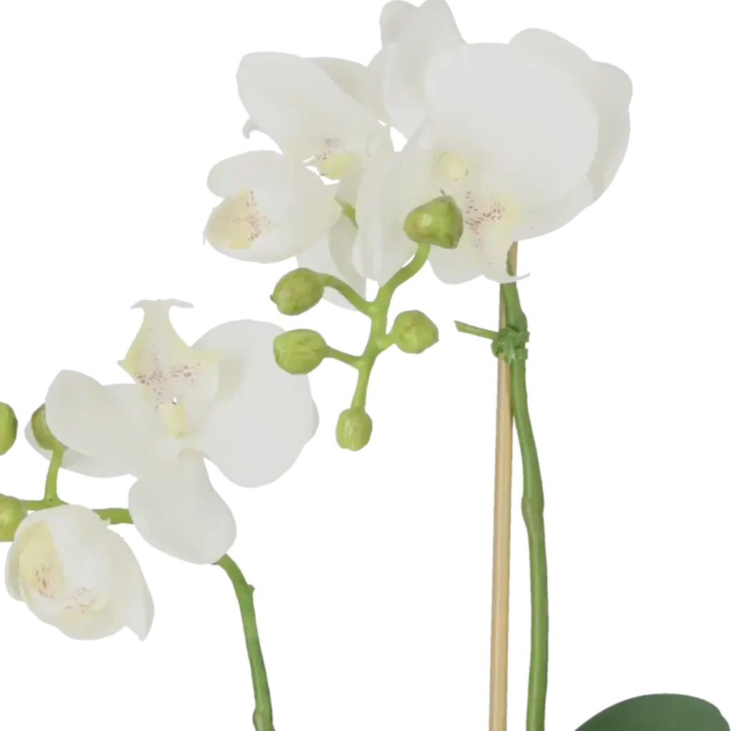 Closeup af Kunstig Phalaenopsis Orkidé H: 45 cm.