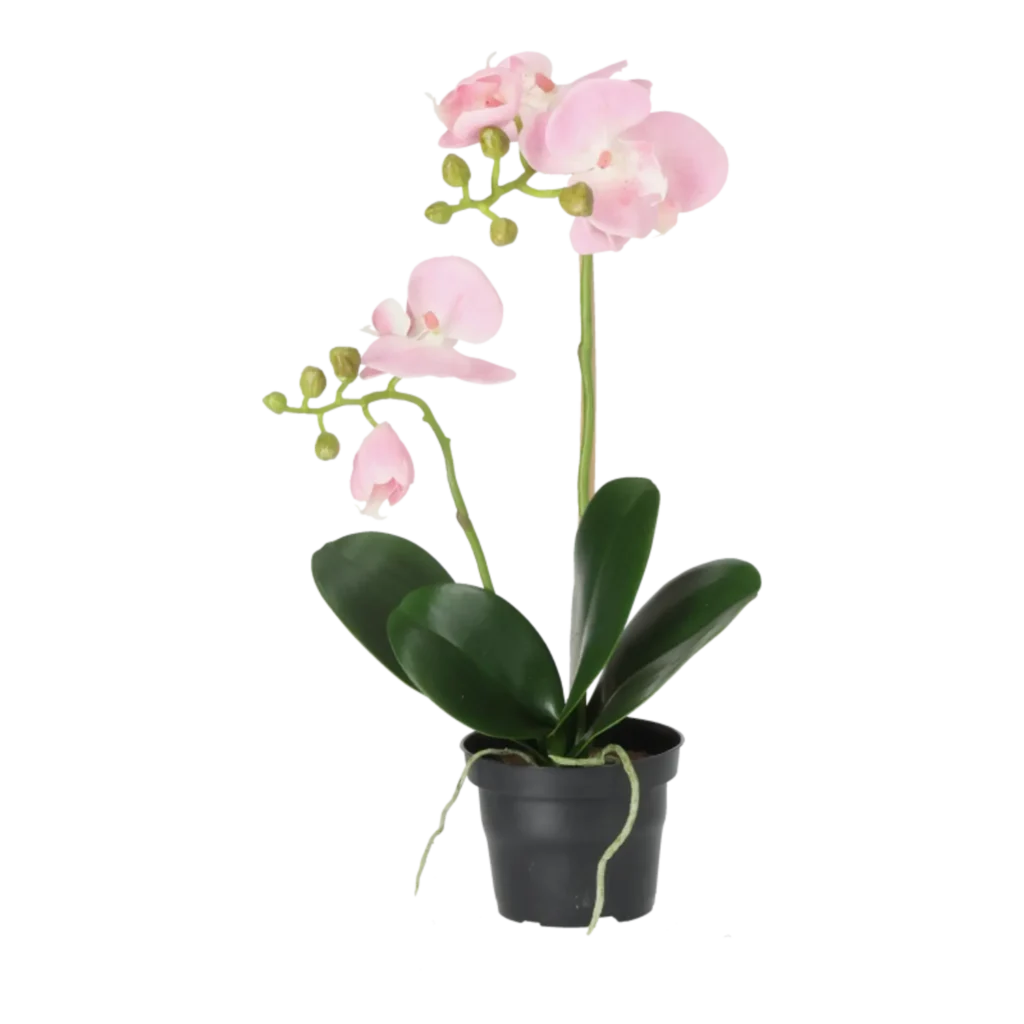 Kunstig Phalaenopsis Orkidé H: 45 cm.
