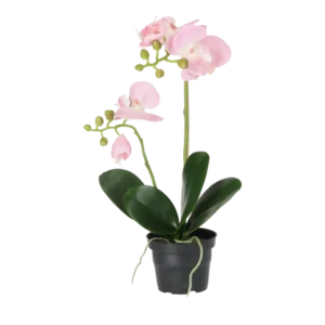 Kunstig Phalaenopsis Orkidé H: 45 cm.