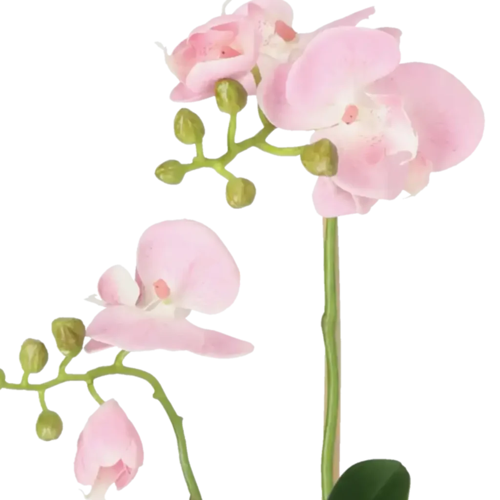 Closeup af Kunstig Phalaenopsis Orkidé H: 45 cm.