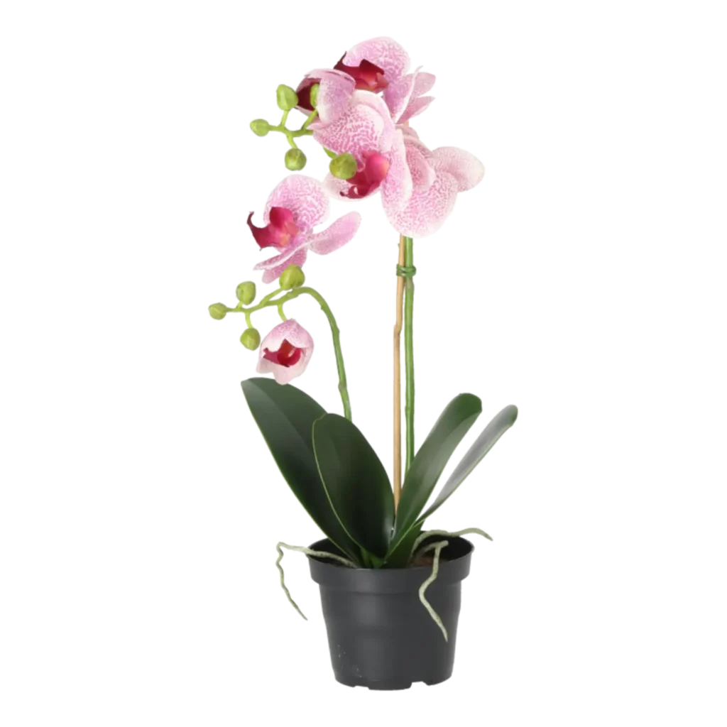 Kunstig Phalaenopsis Orkidé H: 45 cm.