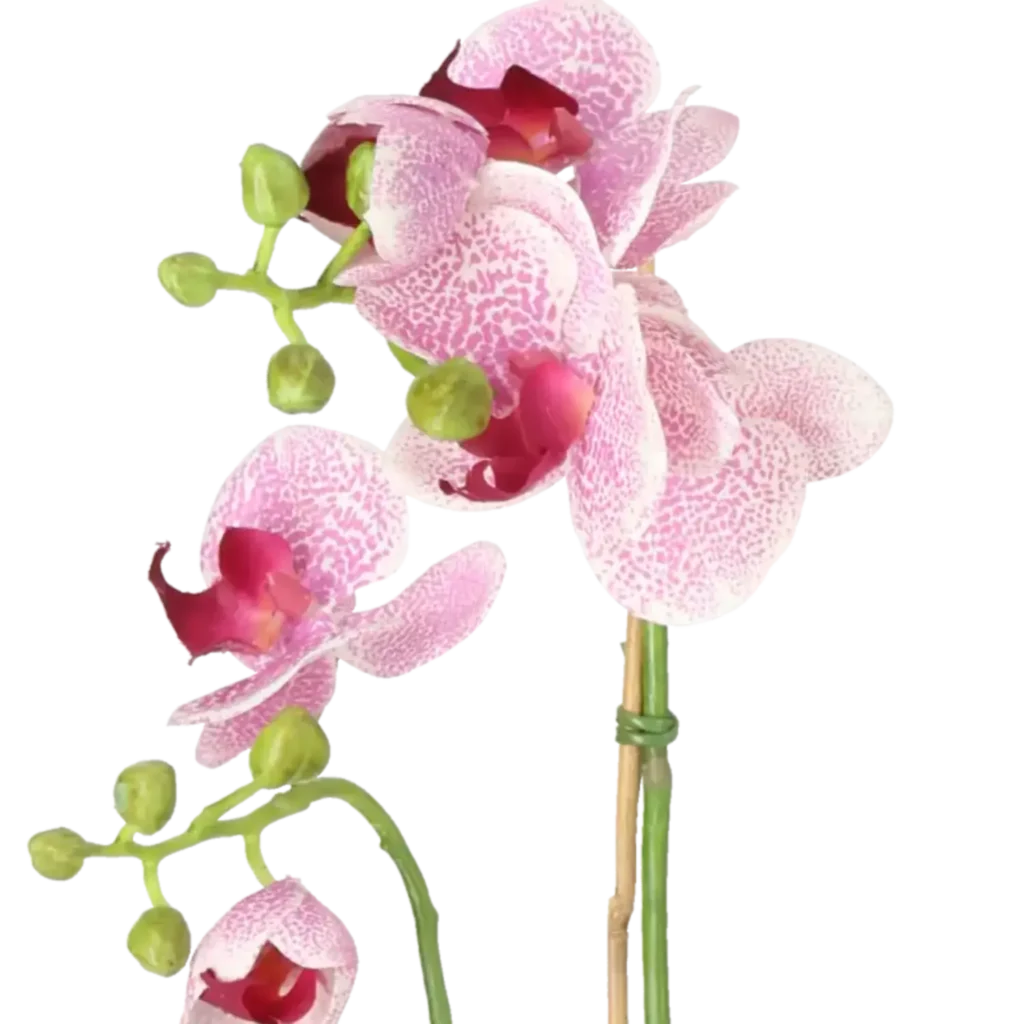 Closeup af Kunstig Phalaenopsis Orkidé H: 45 cm.