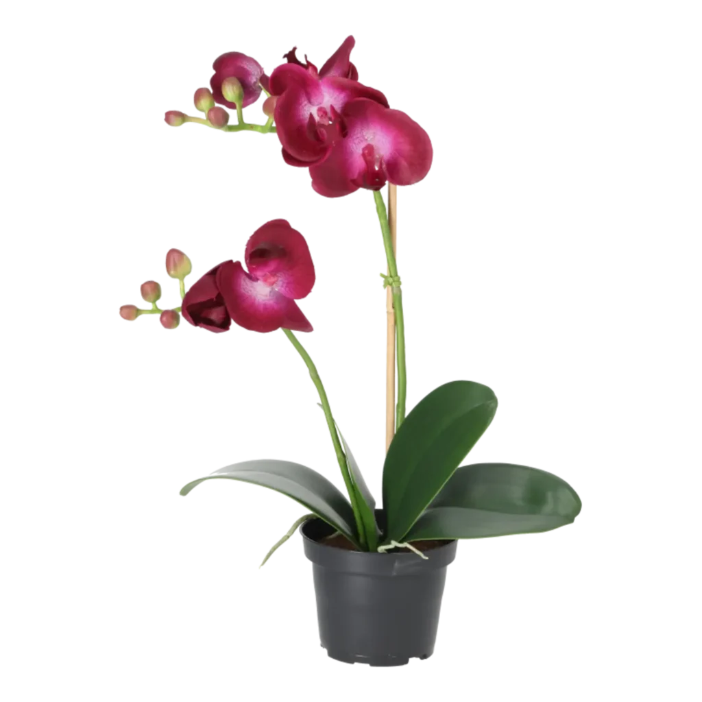 Kunstig orkidé mørk lilla - H: 45 cm.