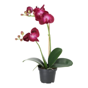 Kunstig orkidé mørk lilla - H: 45 cm.