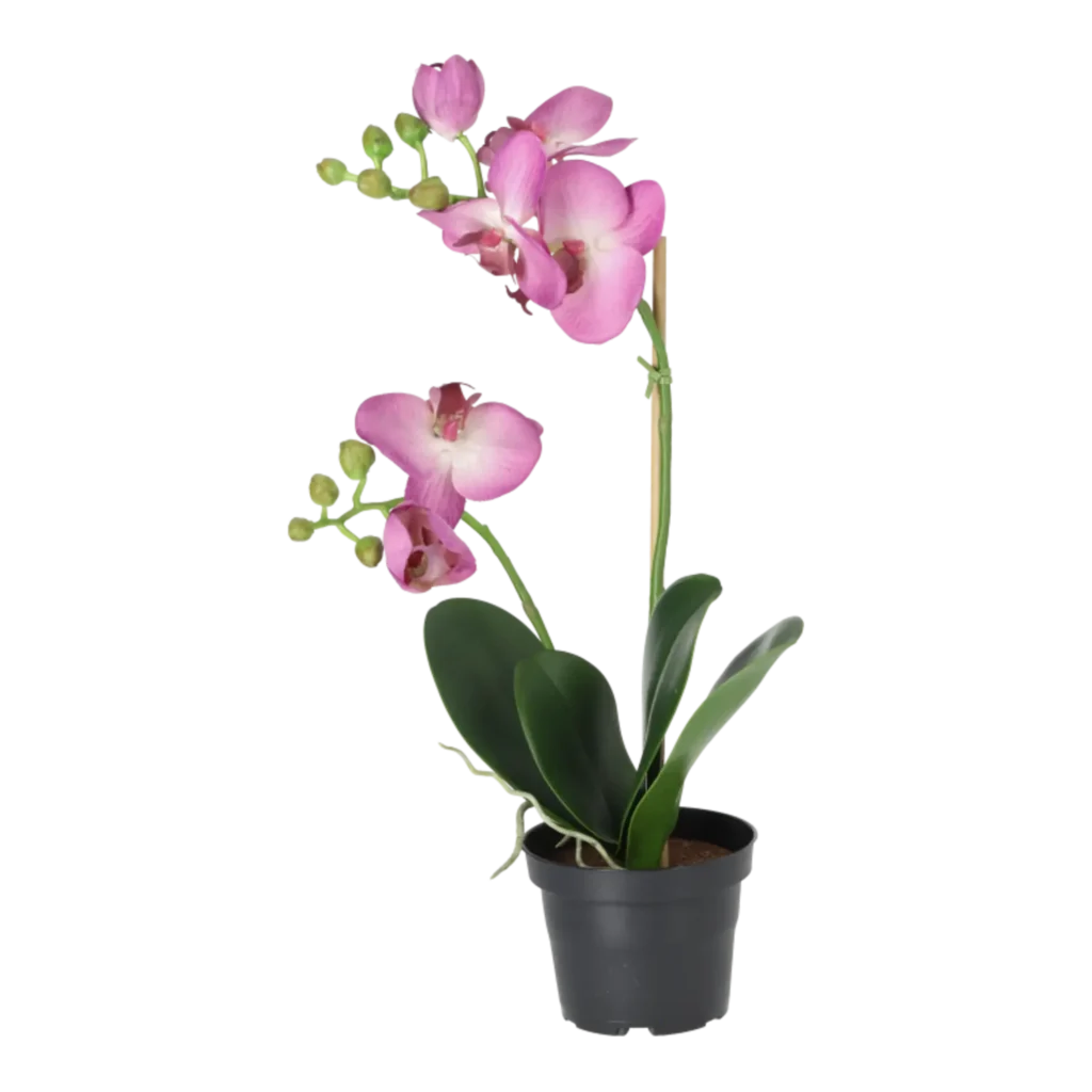 Kunstig Phalaenopsis Orkidé H: 45 cm.