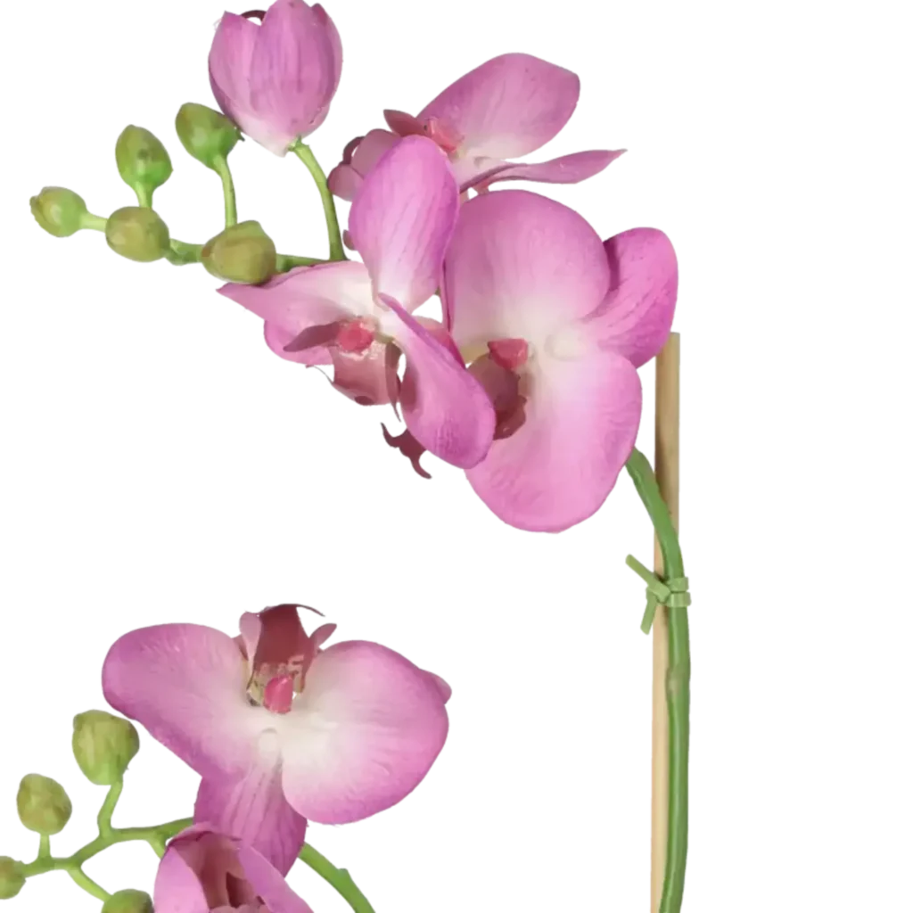 Closeup af Kunstig Phalaenopsis Orkidé H: 45 cm.