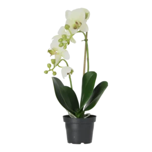 Kunstig Phalaenopsis Orkidé H: 45 cm.