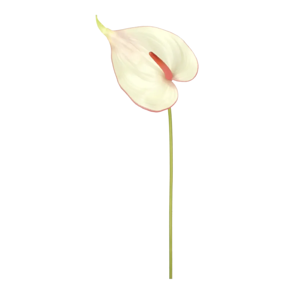 Kunstig Anthurium L: 68 cm.