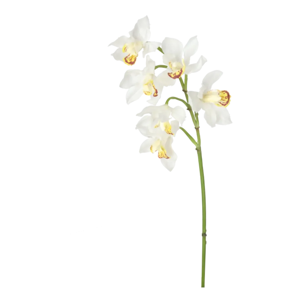 Kunstig Orkidé L: 50 cm.