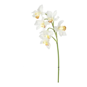 Kunstig Orkidé L: 50 cm.