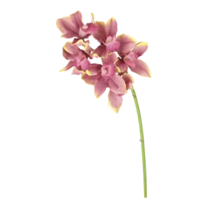 Kunstig Orkidé L: 50 cm.