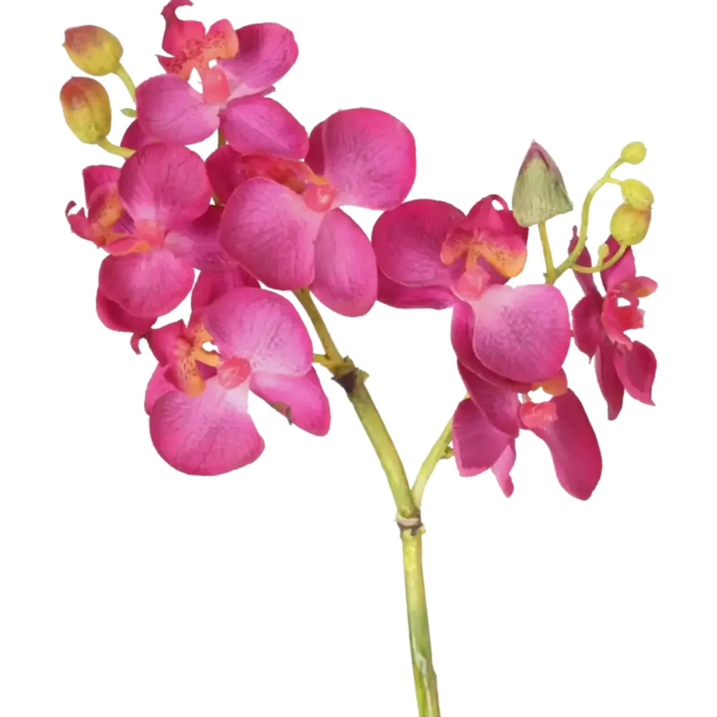 Closeup af Kunstig Orkide stilk Pink L: 50 cm.