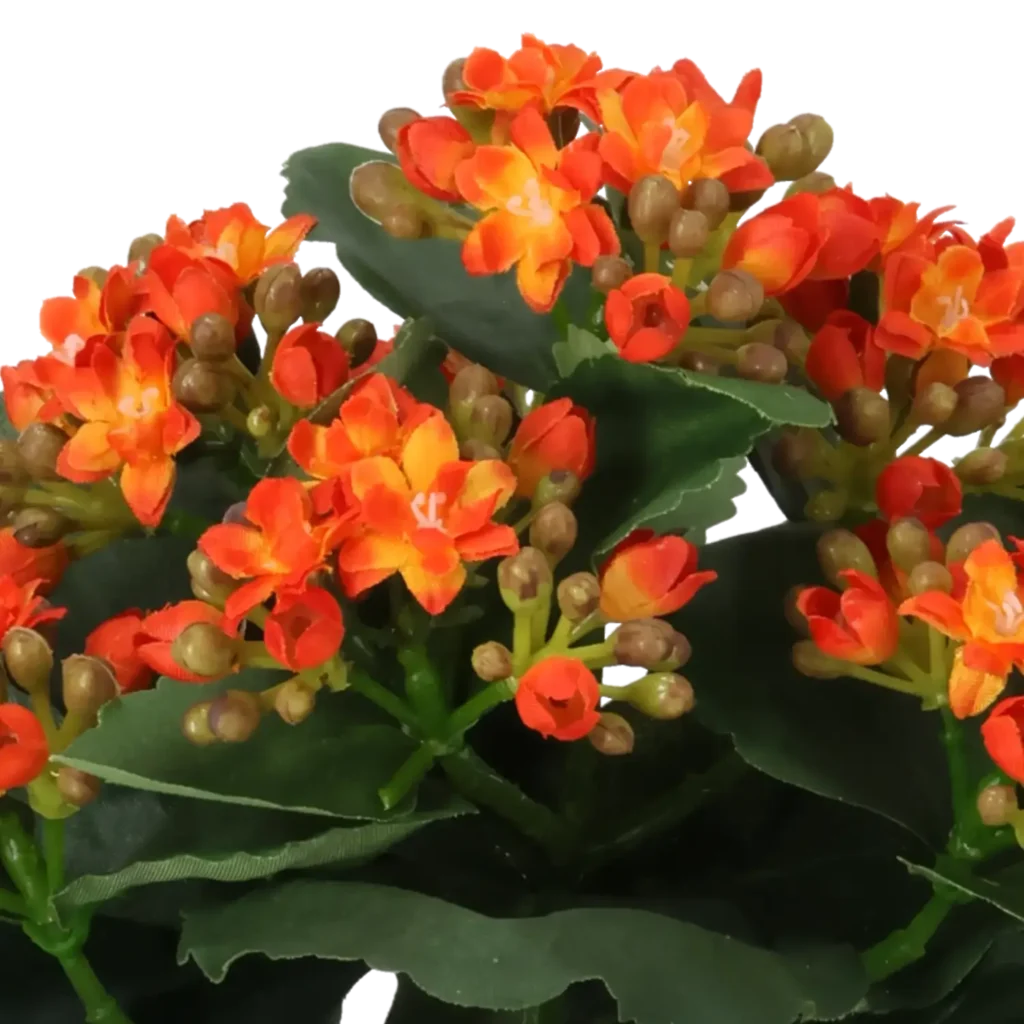 Closeup af Kunstig Kalanchoe H: 20 cm.