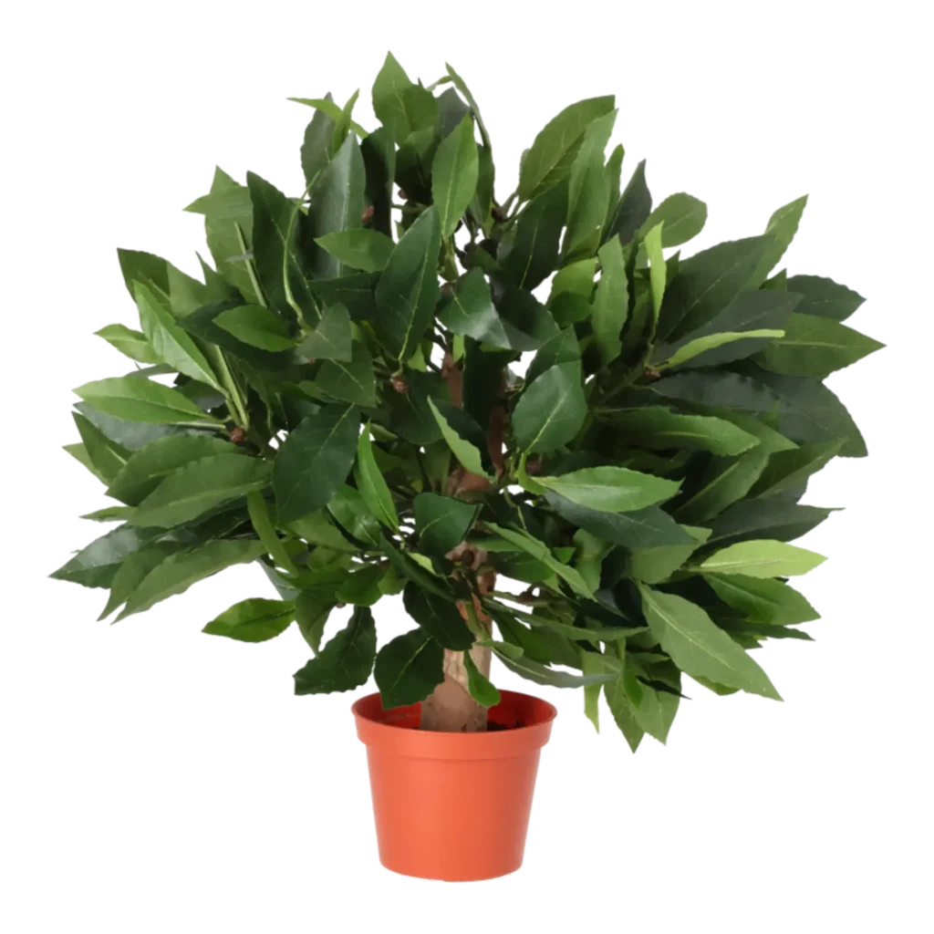 Kunstig Laurbær H: 25 cm.