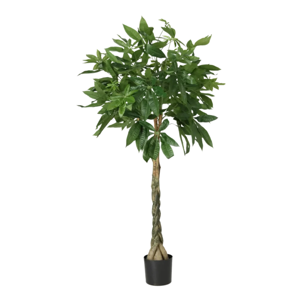 Kunstig Pachira H: 130 cm.