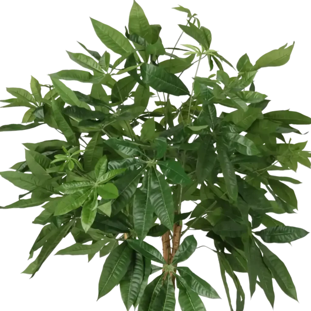 Closeup af Kunstig Pachira H: 130 cm.