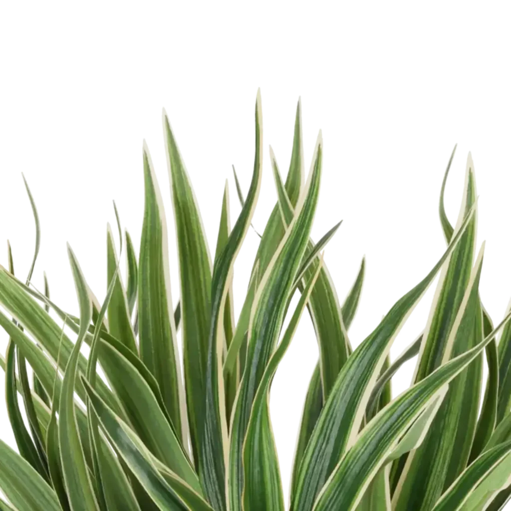 Closeup af Kunstig plante H: 30 cm.