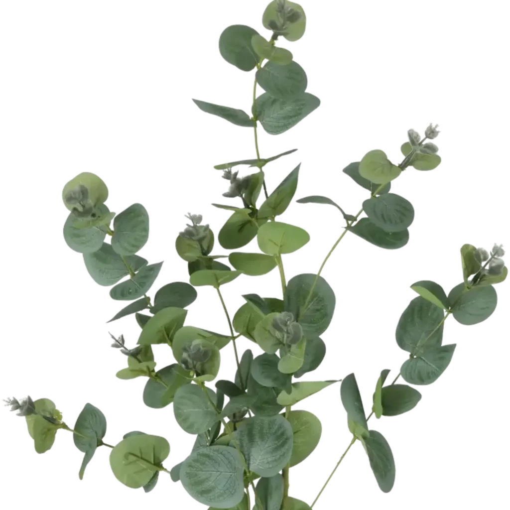 Closeup af Kunstig Eukalyptus L: 75 cm.