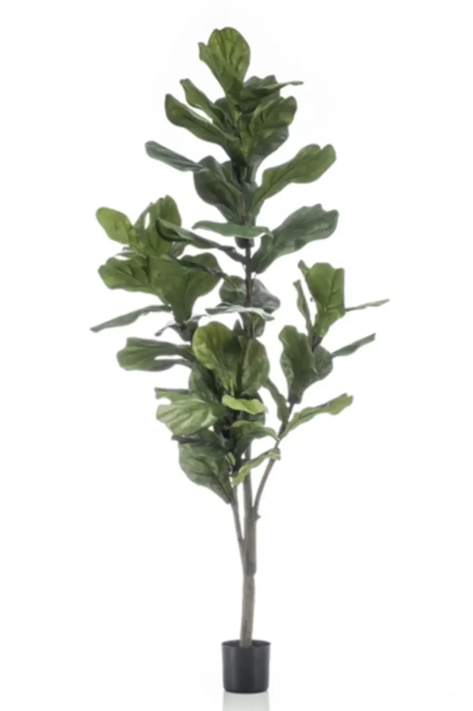 Kunstig Violinfigen H: 150 cm.