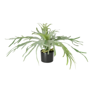 Kunstig Staghorn H: 60 cm.