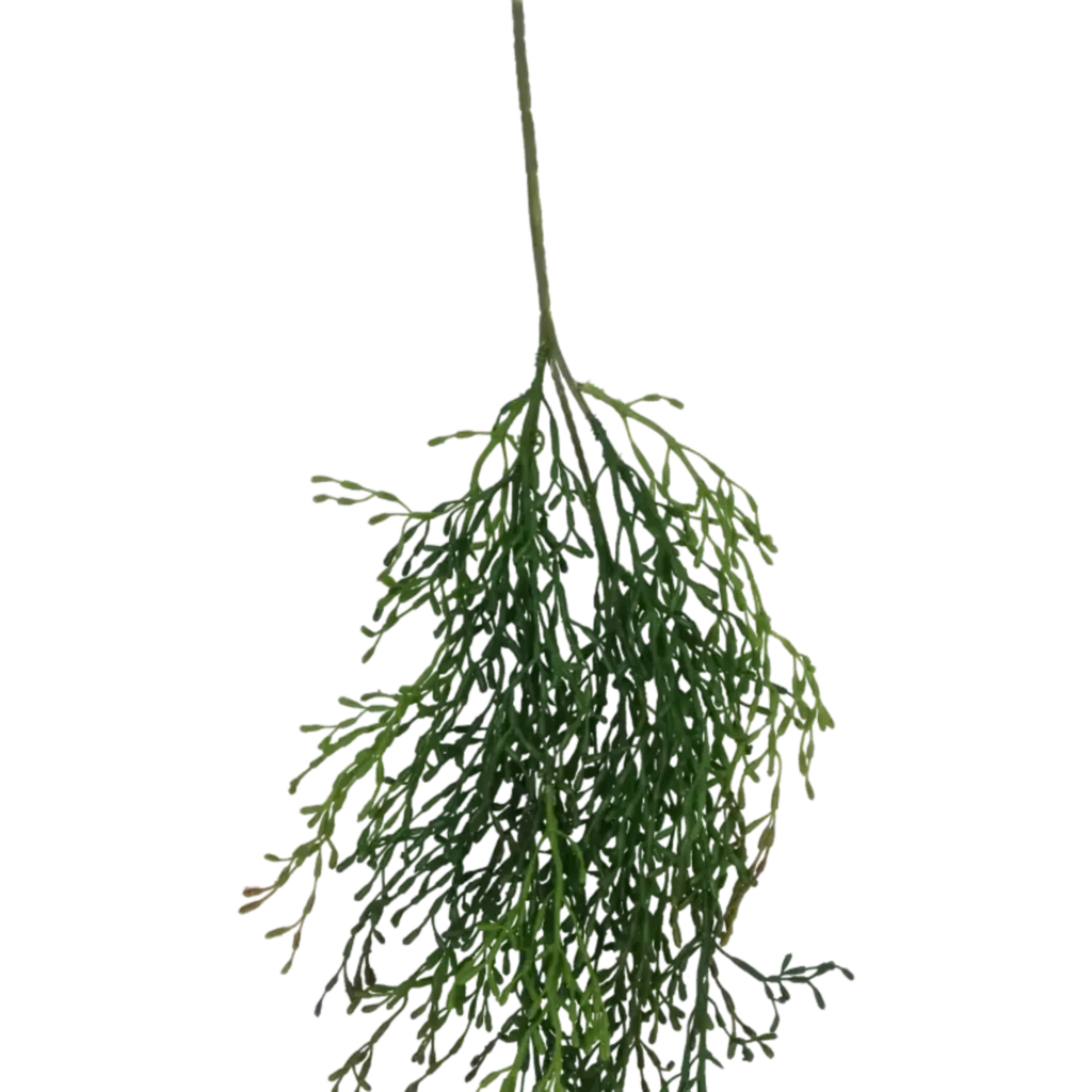 Closeup af Kunstig Rhipsalis hængeplante L: 90 cm.