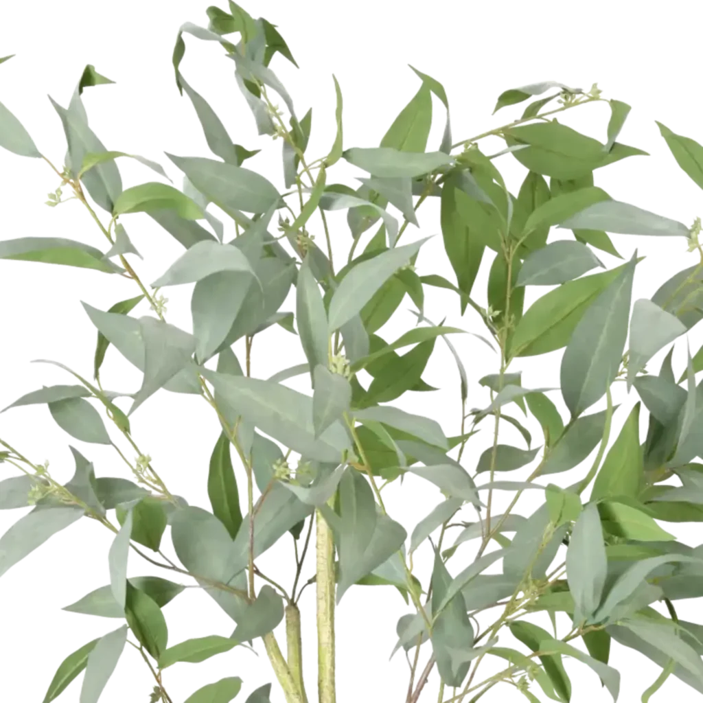 Closeup af Kunstig Eucalyptus Globulus H: 115 cm.