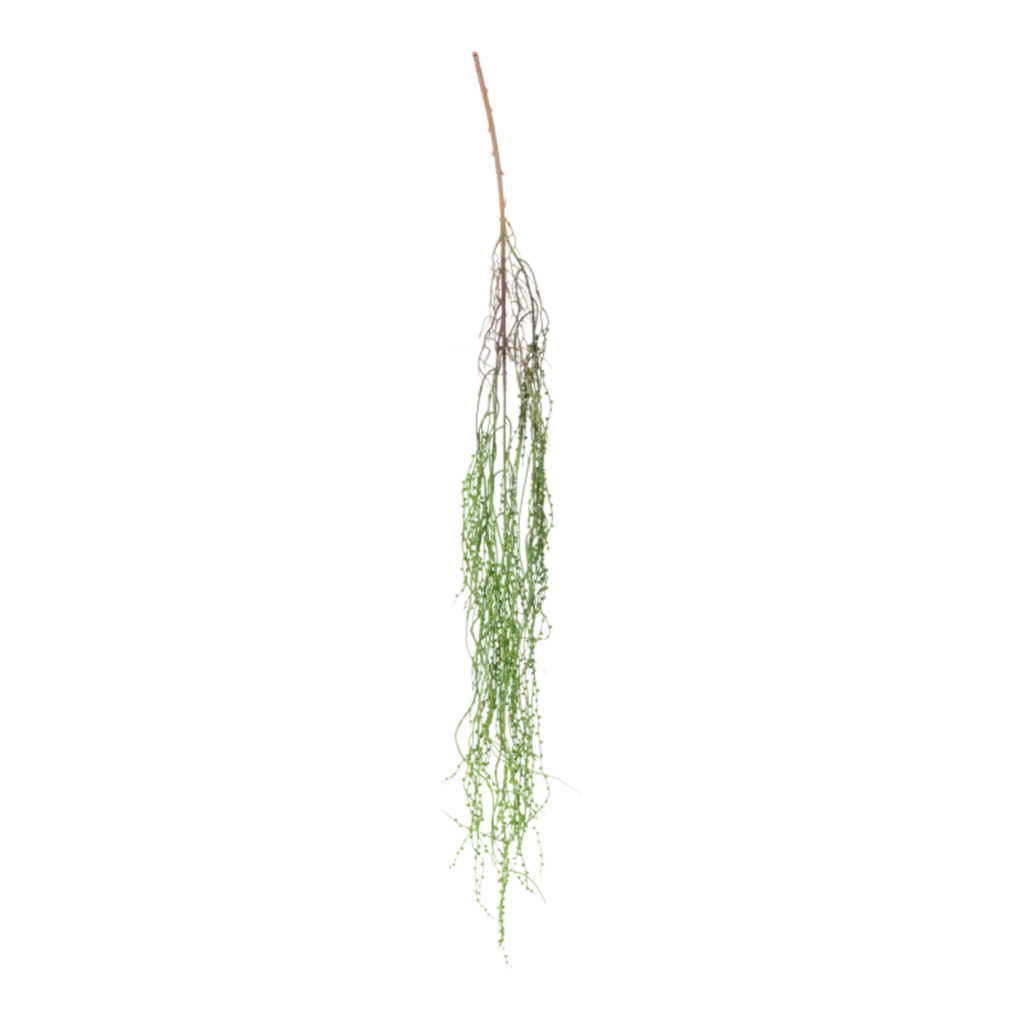 Kunstig Senecio hængeplante L: 150 cm.