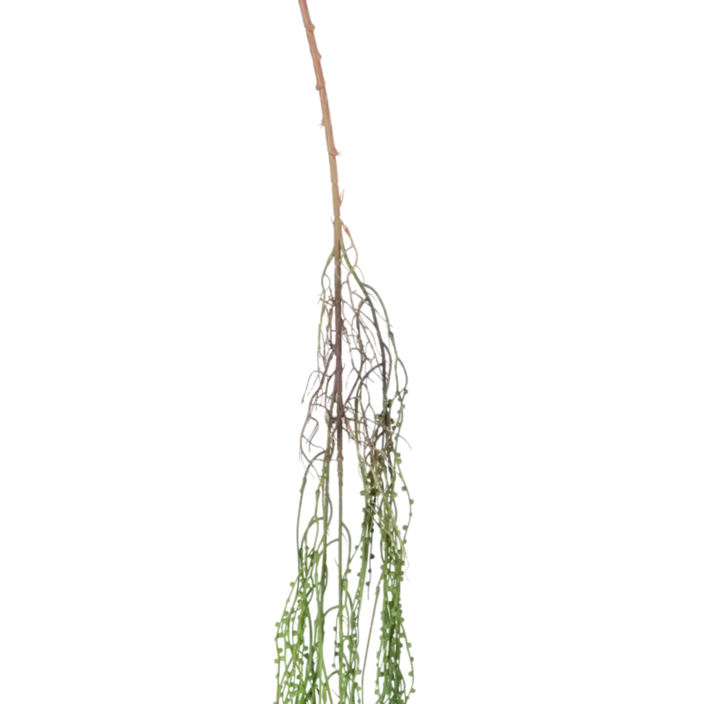 Closeup af Kunstig Senecio hængeplante L: 150 cm.