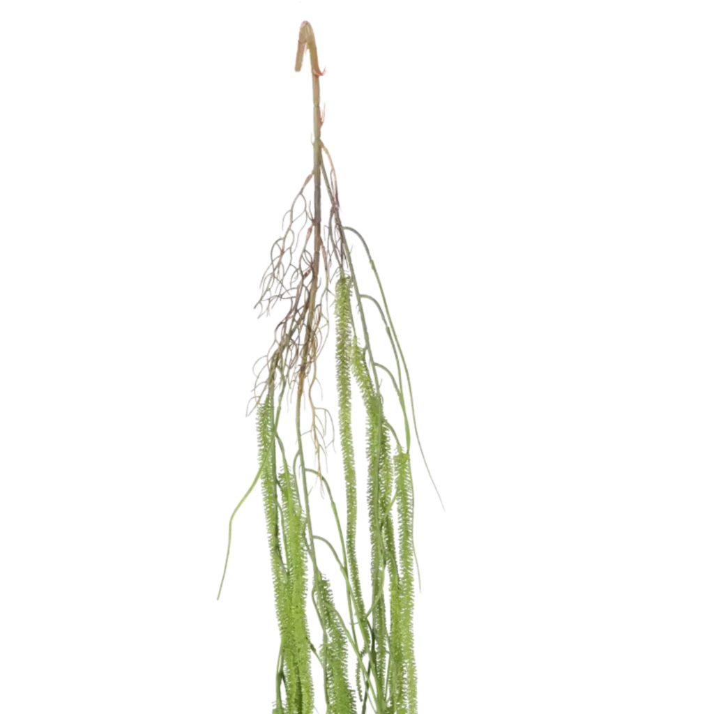 Closeup af Kunstig Amaranthus L: 150 cm.