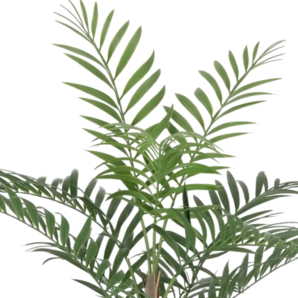Closeup af Kunstig Chamaedorea palme UV H: 90.
