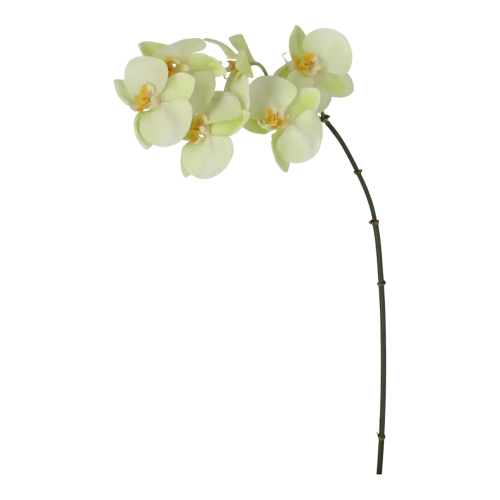 Kunstig orkide lime - H: 55 cm.