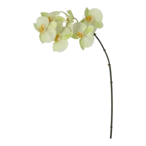Kunstig orkide lime - H: 55 cm.