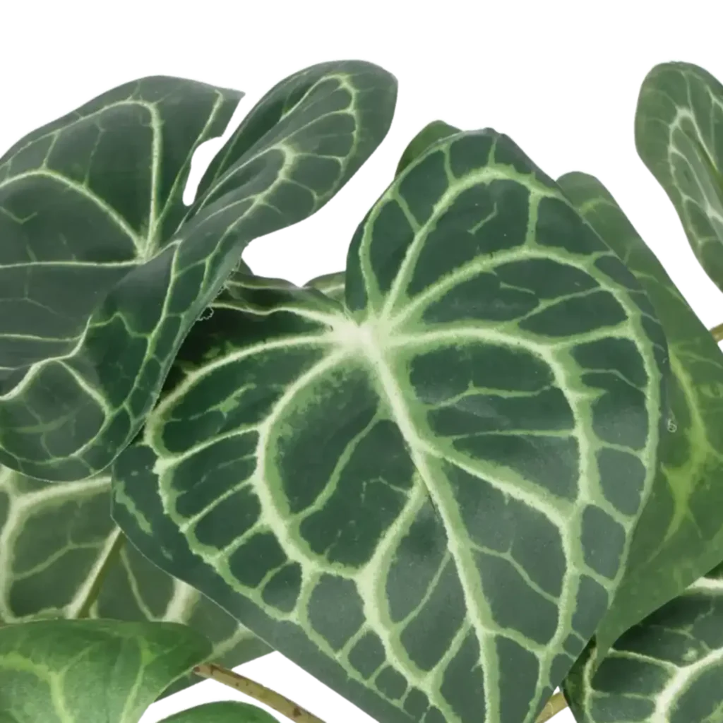 Closeup af Kunstig Plante H: 30 cm.