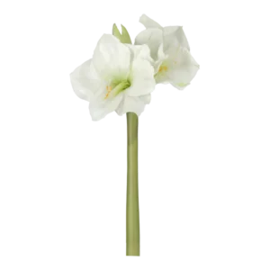 Kunstig Amaryllis hvid - L: 50 cm.
