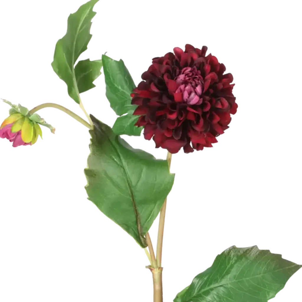 Closeup af Kunstig dahlia stilk i vinrød - L: 52 cm.