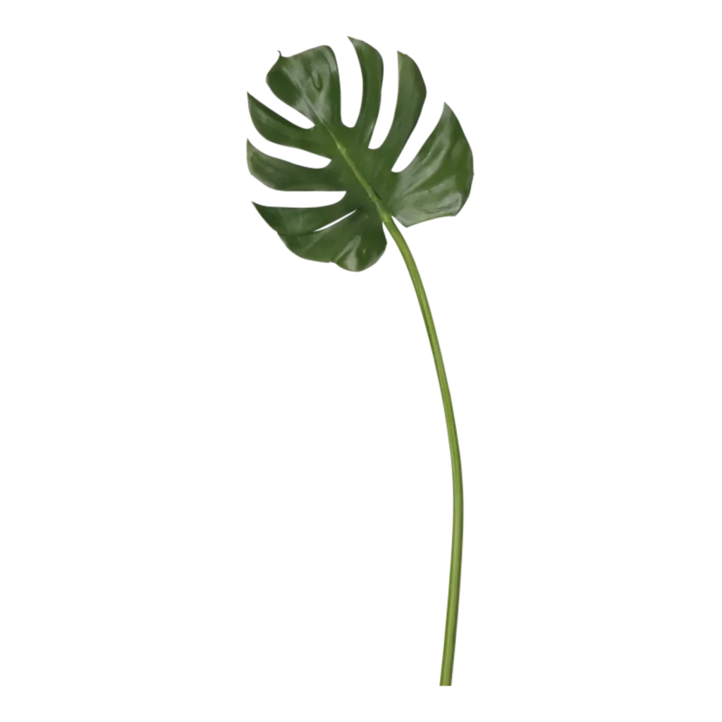 Kunstig Monstera blad L: 78 cm.