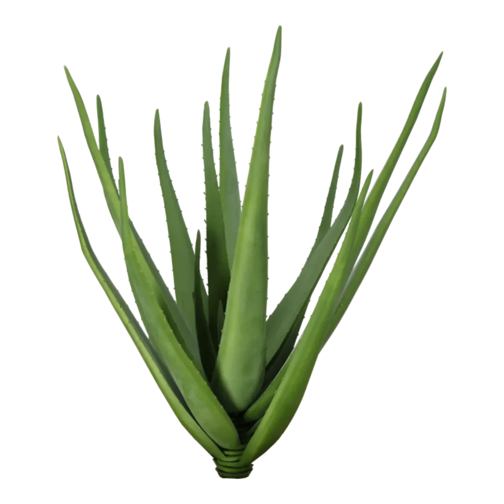 Kunstig Aloe Vera H: 60 cm.