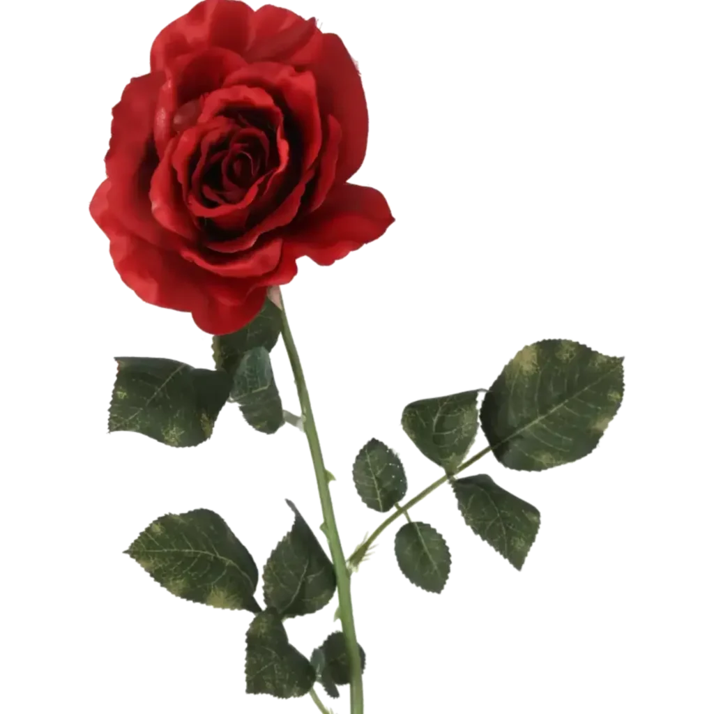 Closeup af Kunstig Rose stilk i rød - L: 75 cm.