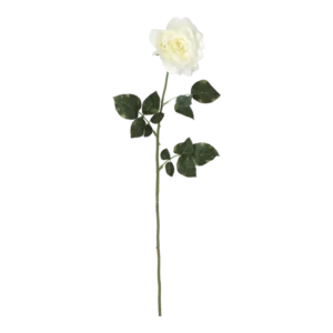 Kunstig Rose stilk i hvid - L: 75 cm.