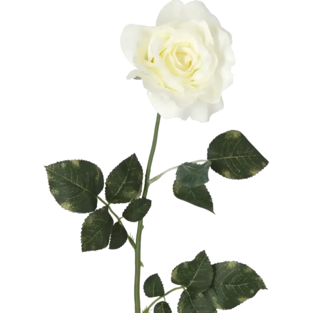 Closeup af Kunstig Rose stilk i hvid - L: 75 cm.