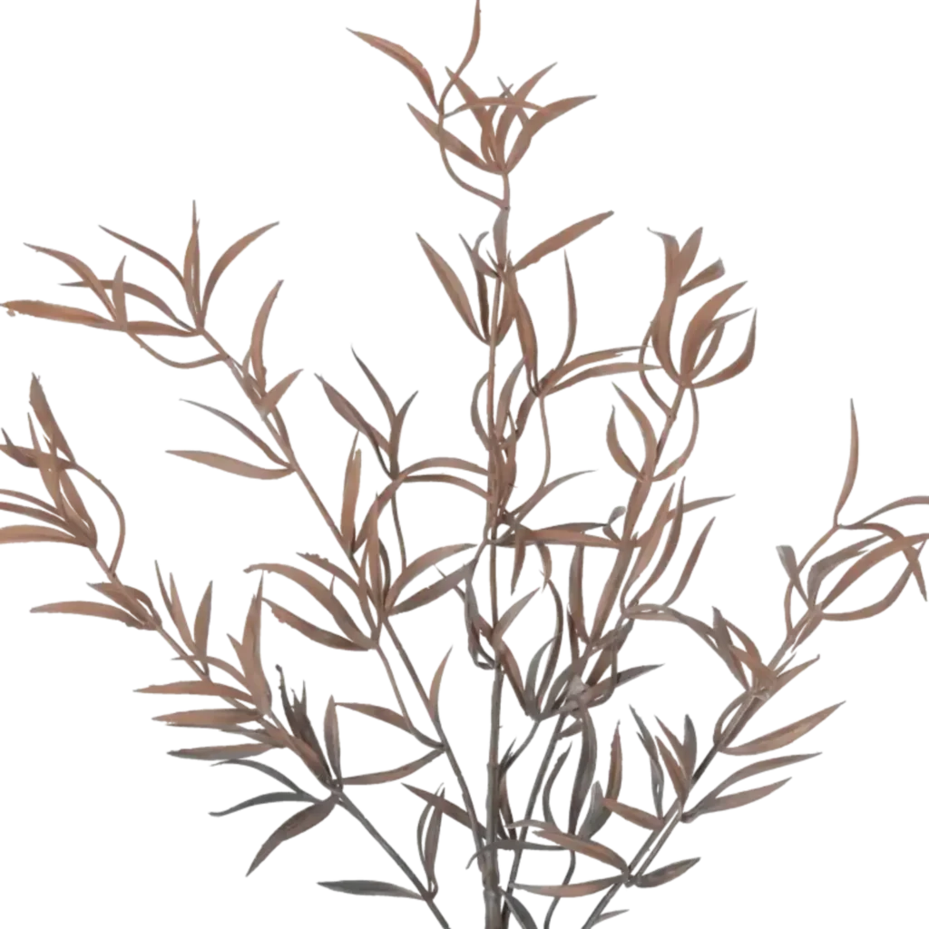 Closeup af Kunstig brun Asparagus - L: 40 cm.