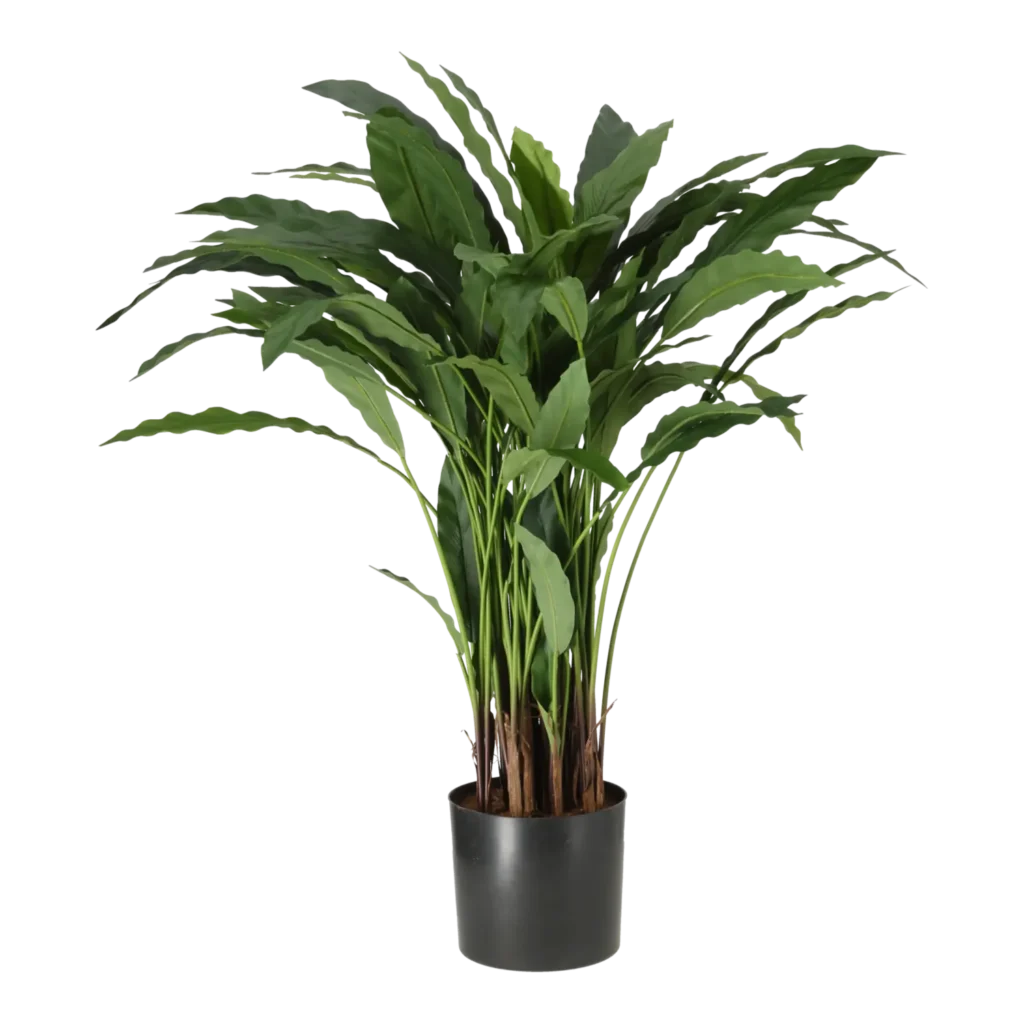 Kunstig Calathea H: 84 cm.