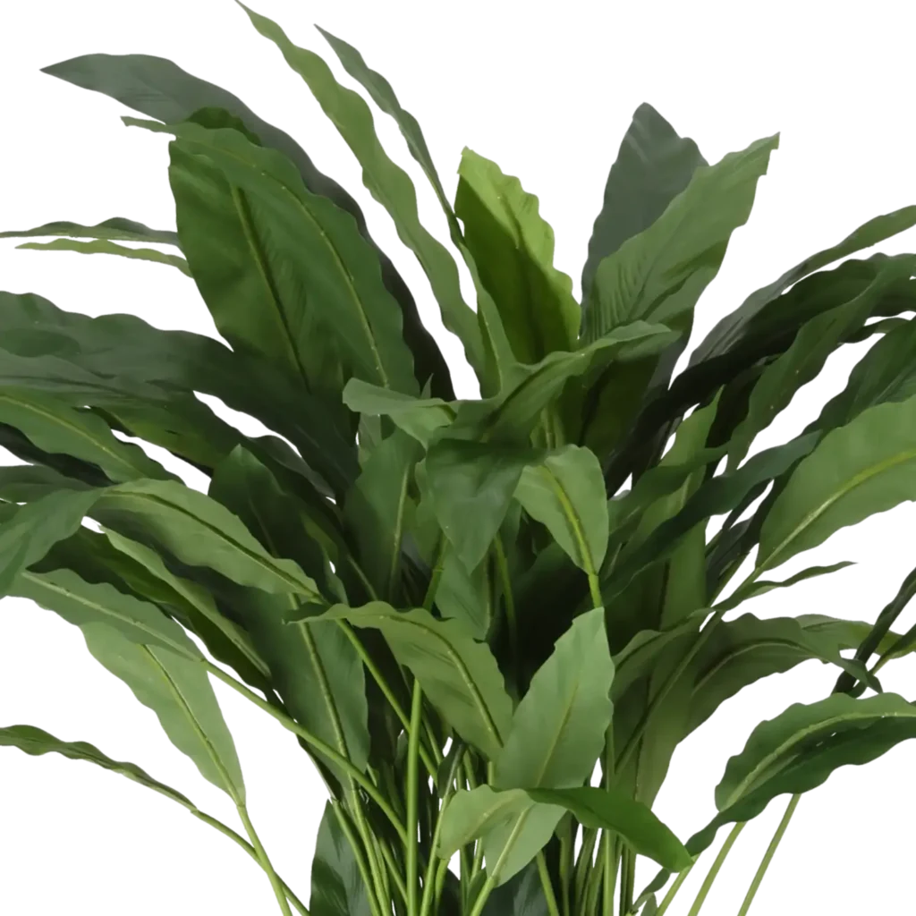 Closeup af Kunstig Calathea H: 84 cm.