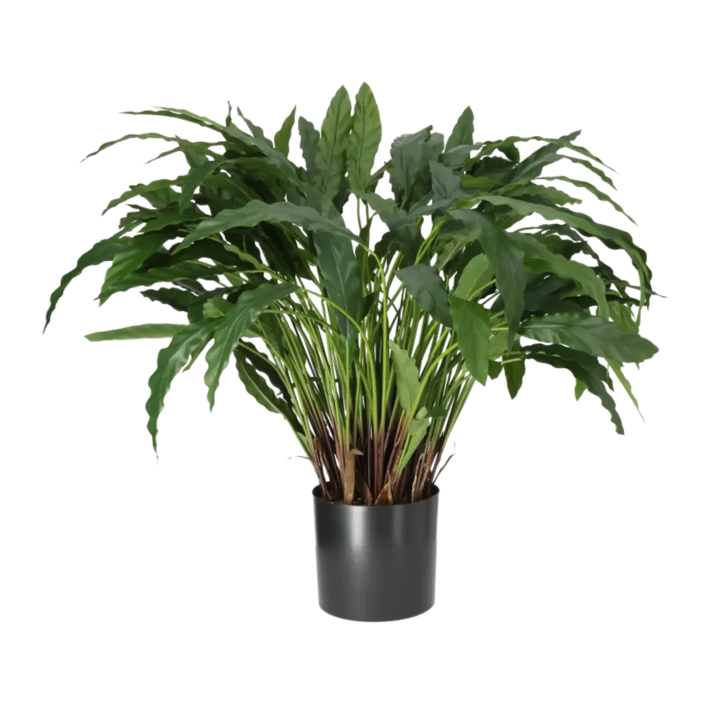 Kunstig Calathea H: 88 cm.